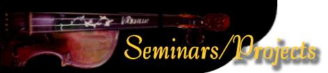 Fiddle Seminars and Projects